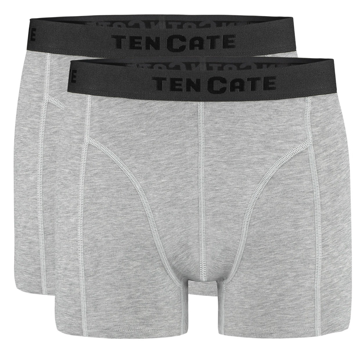 Basics Organic Cotton Stretch Heren Shorts 2-Pack Grijs