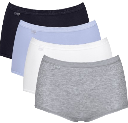 Basic+ Dames Maxi 4-Pack Multiple Colours 15