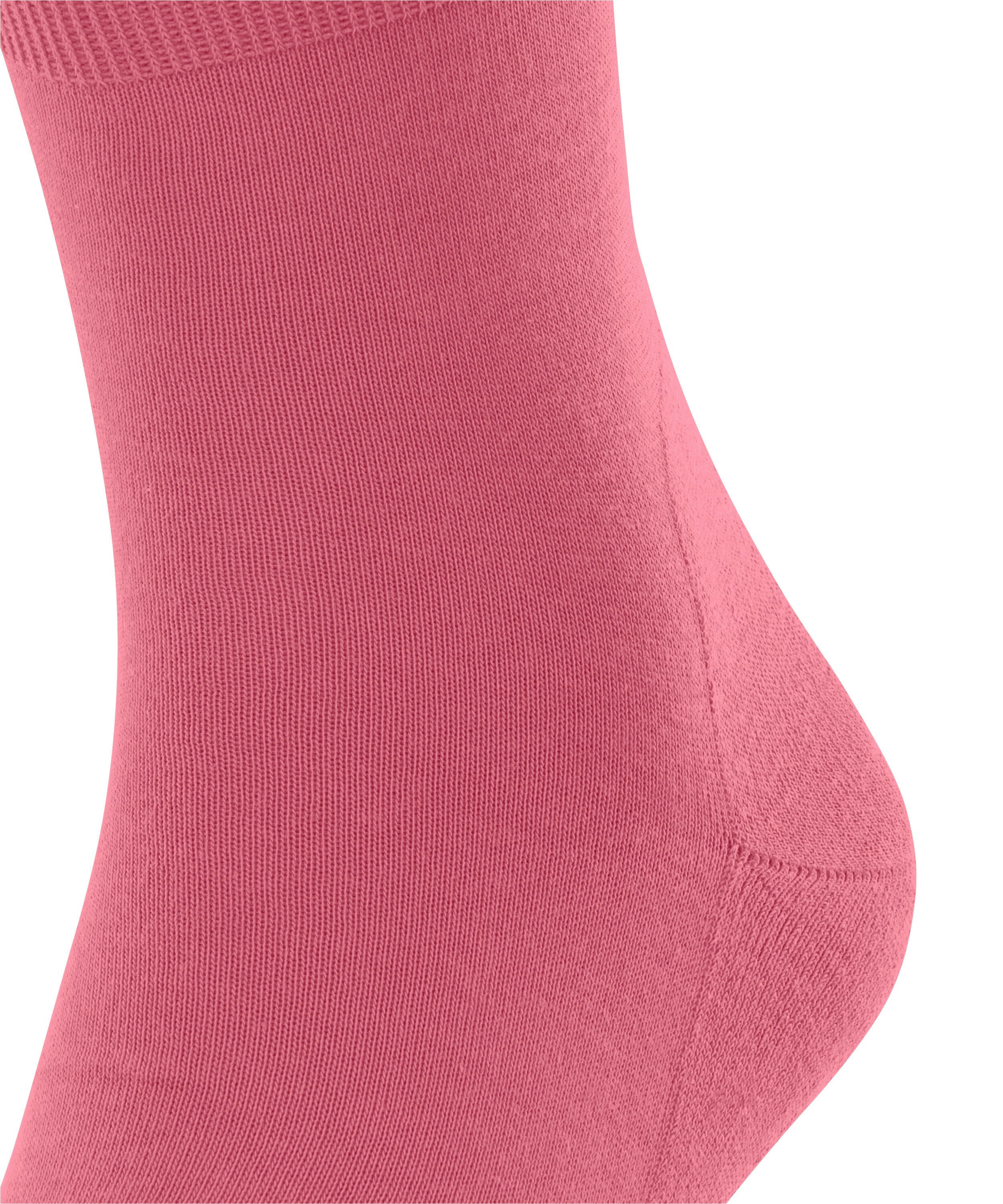FALKE Unisex Run Sokken Rood