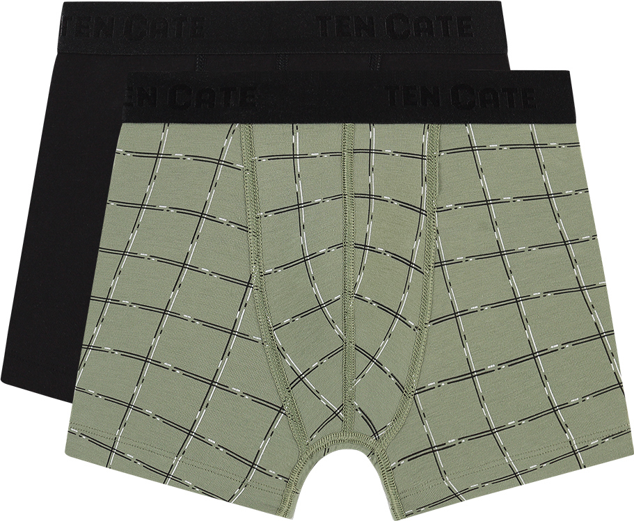 Basics Organic Cotton Stretch Jongens Shorts 2-Pack Check Green