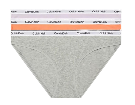 Modern Logo Dames Bikini Slips 3-Pack Multi