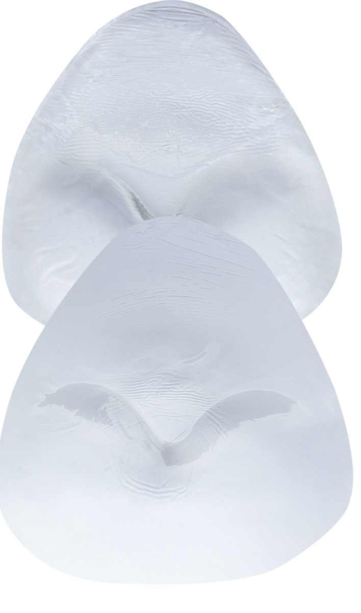 Dames Bikini Swim Pad Clear