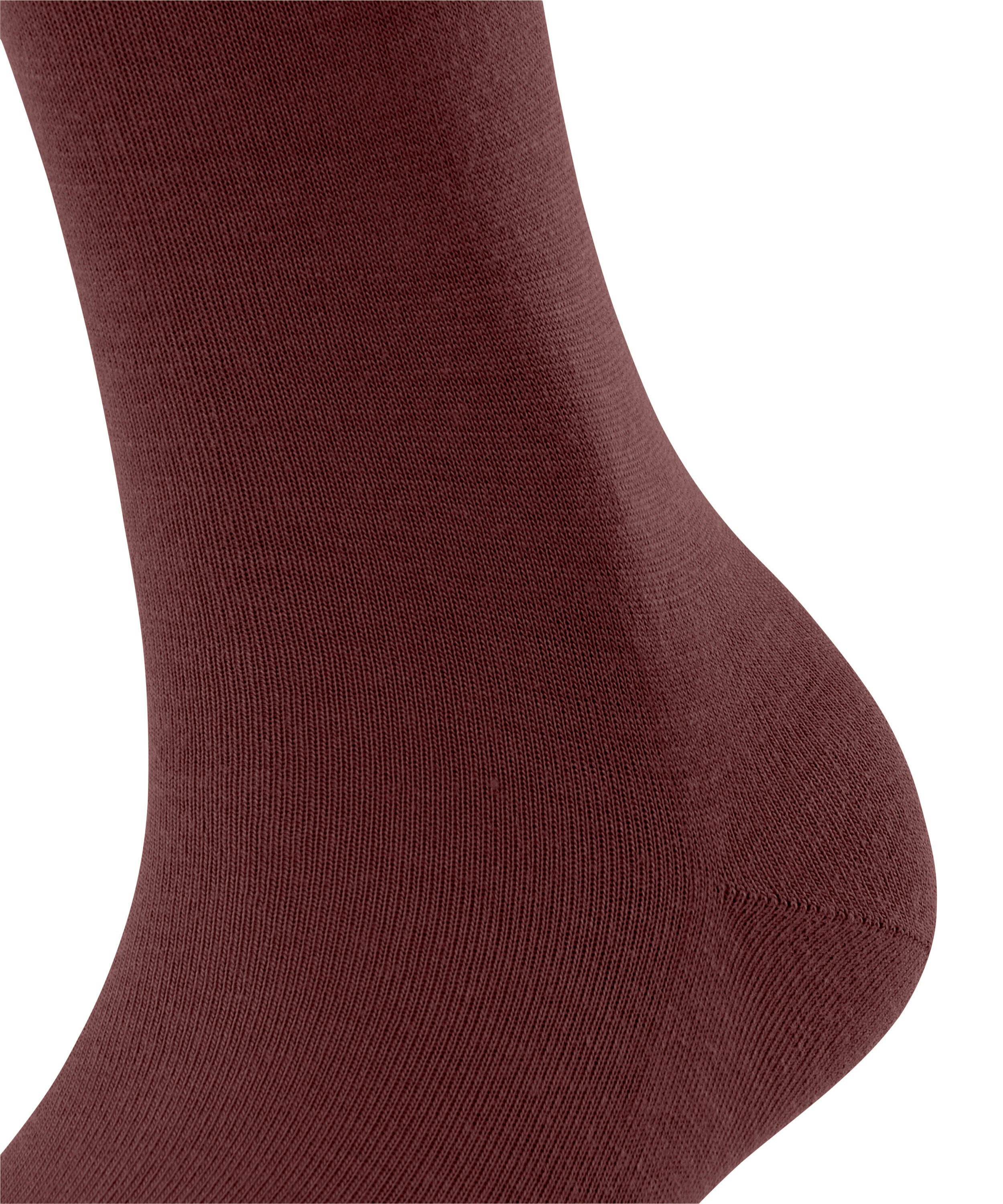 FALKE Dames Softmerino Kniekousen Bruin