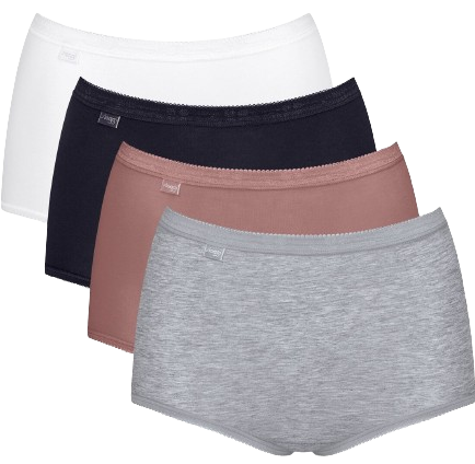Basic+ Dames Maxi 4-Pack Multiple Colours 16