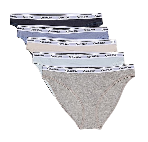 Modern Logo Dames Bikini Slip 5-Pack Multi